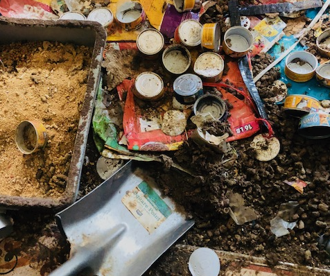 Animal Hoarding Bio-One in Orlando Florida