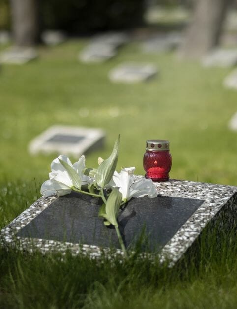 Establish Rituals Traditions