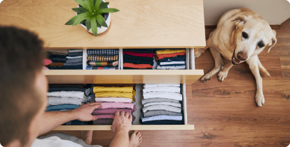 Organizational Trends