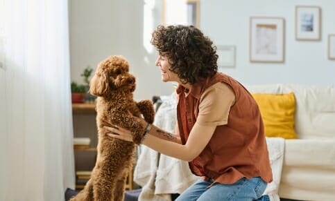 Reduced Allergy & Astma