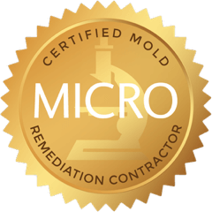 Mold Remediation Certification
