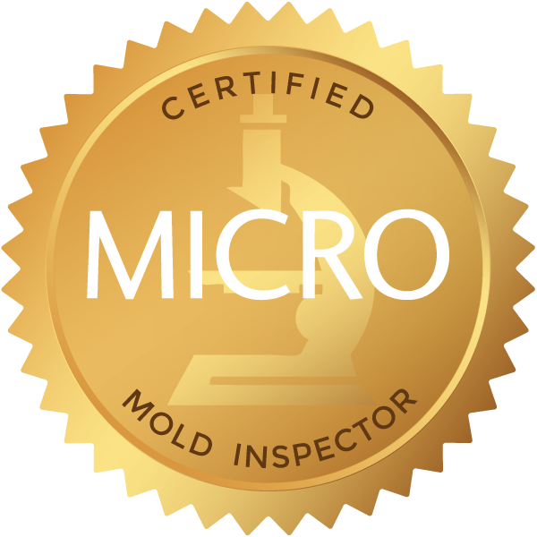 Certified Mold Inspector