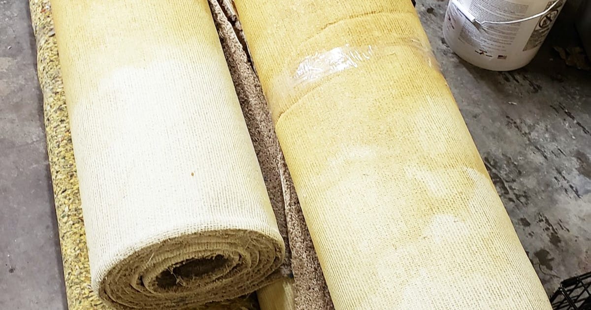  Sewage moisture can create an ideal environment for mold and fungi growth.