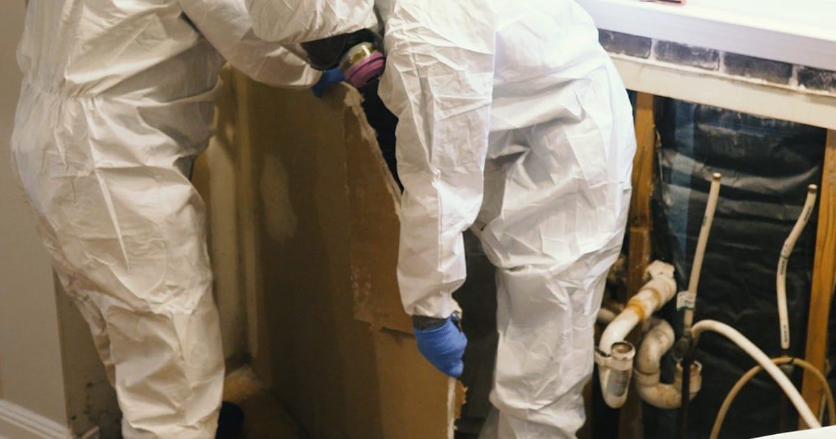  Professionals have the necessary personal protective equipment and training to safely handle sewage, which contains harmful bacteria, viruses, and other pathogens.