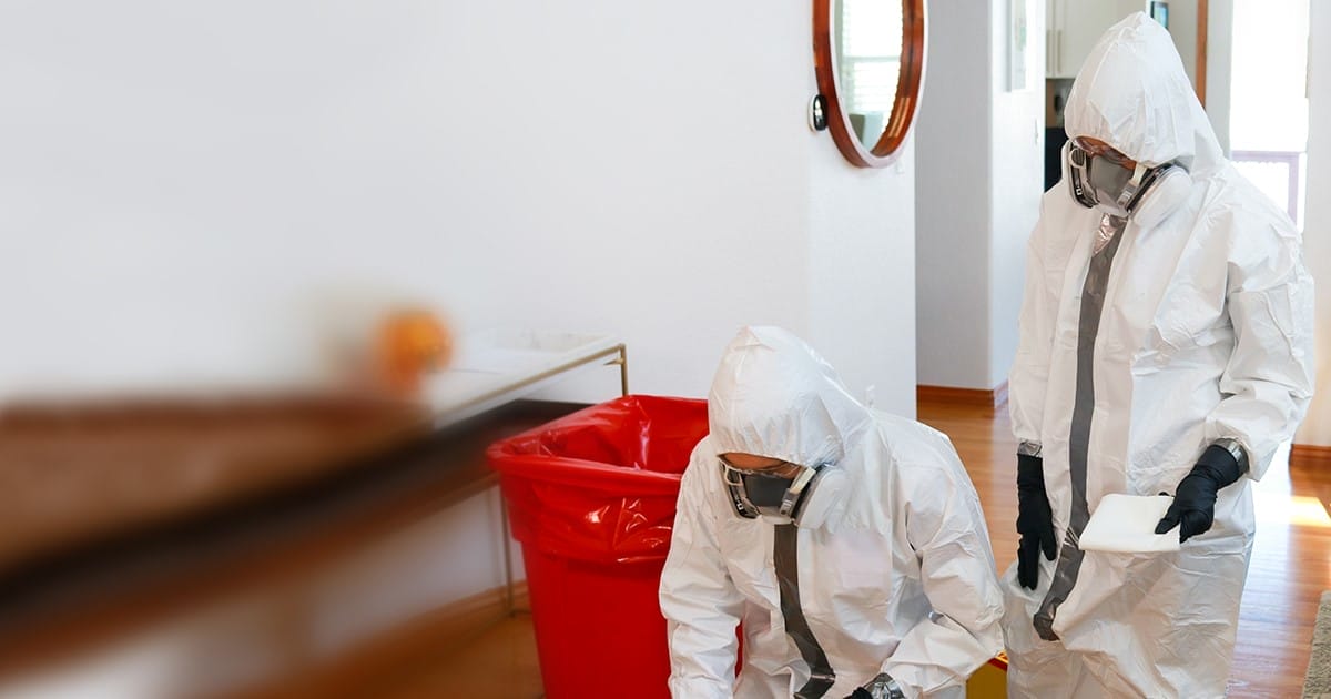Hiring a qualified cleanup company, especially for sensitive and hazardous situations like animal hoarding cleanup, requires careful consideration and research. 