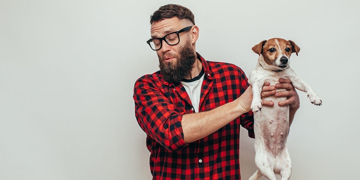 Pets can leave strong odors from urine, feces, or their natural scent. These odors can be particularly challenging to remove from carpets, upholstery, and other fabrics.