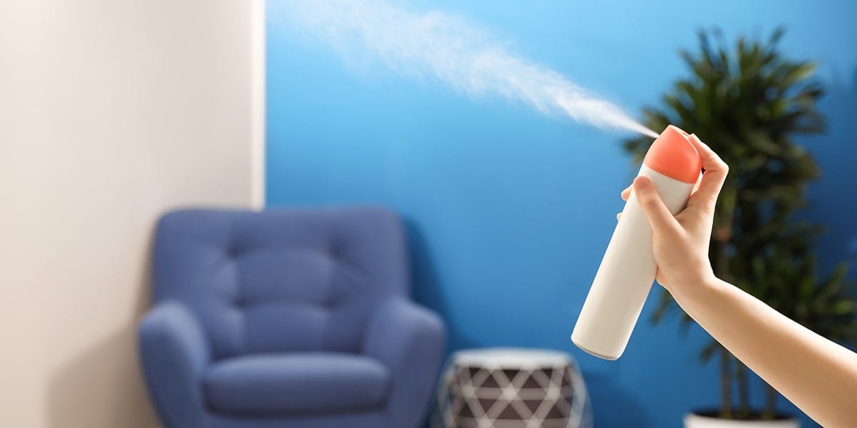 Without professional techniques and solutions, you might not entirely eliminate the odor.